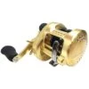Shimano Calcutta Conquest 300/301 (2018) 1 Shimano Calcutta Conquest 300/301 (2018) -Pêche Équipement Magasin 0000010000000000r 1