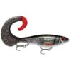 Rapala X-Rap Otus 25cm 1 Rapala X-Rap Otus 25cm -Pêche Équipement Magasin 000011980014ARB0r 1