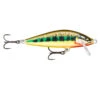 Rapala CountDown Elite 2 Rapala CountDown Elite -Pêche Équipement Magasin 124015NOr 1