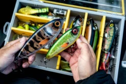 Abu Garcia Abu Svartzonker McTracer 11 Abu Garcia Abu Svartzonker McTracer -Pêche Équipement Magasin 1572597r 5