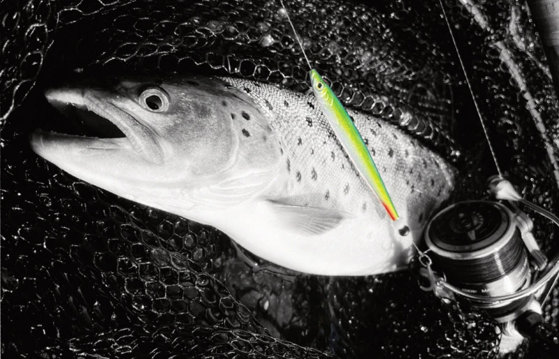 Fladen Silver Chaser 18g 4 Fladen Silver Chaser 18g – Image 2