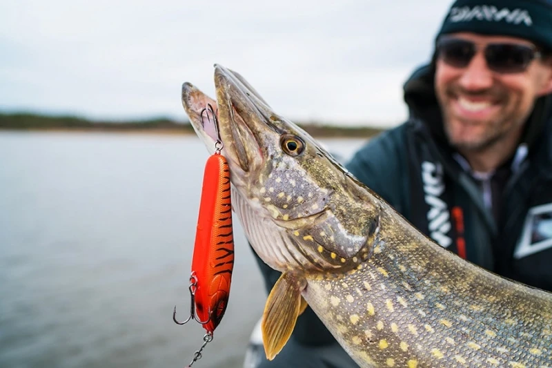 Daiwa Prorex Lazy Jerk Slow Sink 4 Daiwa Prorex Lazy Jerk Slow Sink – Image 2