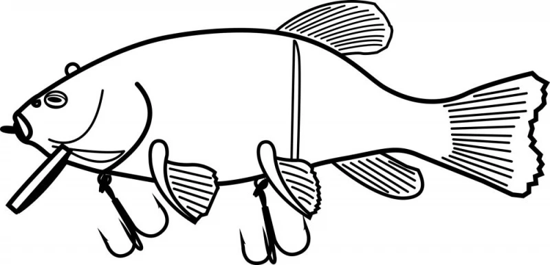 Quantum Freak Of Nature Hybrid Tench 23cm, 175g 6 Quantum Freak Of Nature Hybrid Tench 23cm, 175g – Image 4