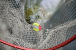 Magic Trout Bloody Big Blade 3,5cm, 2,6g 7 Magic Trout Bloody Big Blade 3,5cm, 2,6g -Pêche Équipement Magasin 22 3364008r 3