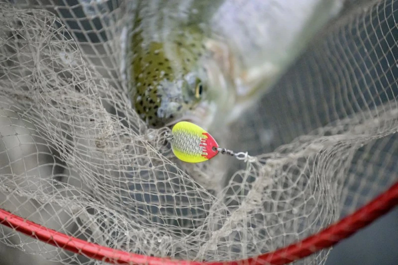 Magic Trout Bloody Big Blade 3,5cm, 2,6g 5 Magic Trout Bloody Big Blade 3,5cm, 2,6g – Image 3