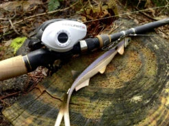 Quantum Accurist Baitcast AT101 HPT 13 Quantum Accurist Baitcast AT101 HPT -Pêche Équipement Magasin 22 570101 6