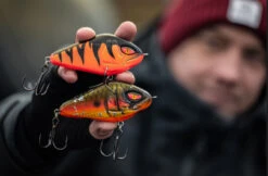 Daiwa PX Lazy Jerk Distance 9 Daiwa PX Lazy Jerk Distance -Pêche Équipement Magasin 32 217457r 3