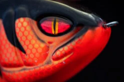 Daiwa PX Lazy Jerk Distance 10 Daiwa PX Lazy Jerk Distance -Pêche Équipement Magasin 32 217457r 4