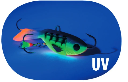 Alpina Glider 4 Alpina Glider – Image 2