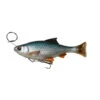 Savage Gear 4D Line Thru Pulse Tail Roach 18cm 90g SS 1 Savage Gear 4D Line Thru Pulse Tail Roach 18cm 90g SS -Pêche Équipement Magasin 63727r 1