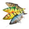 Savage Gear 4D Line Thru Roach 32cm 1 Savage Gear 4D Line Thru Roach 32cm -Pêche Équipement Magasin 71459r 1