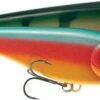 Strike Pro Big Bandit Sjunk 1 Strike Pro Big Bandit Sjunk -Pêche Équipement Magasin BIGBANDITSLOWSINKr 1