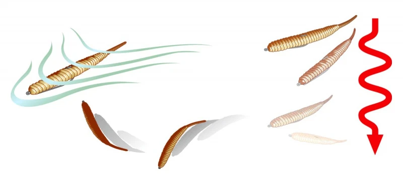 Deps Deathadder 4'' 5 Deps Deathadder 4'' – Image 3