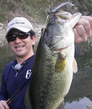 Fish Arrow J Buzz 6 Fish Arrow J Buzz – Image 4