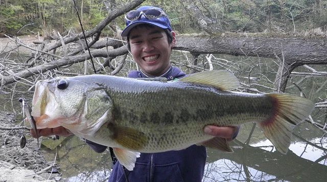 Fish Arrow J Buzz 7 Fish Arrow J Buzz – Image 5