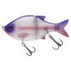 Molix Glide Bait 140 Slow Sinking 2 Molix Glide Bait 140 Slow Sinking -Pêche Équipement Magasin GB140SS r 1