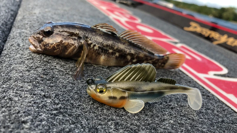 Megabass Dark Sleeper 4 Megabass Dark Sleeper – Image 2