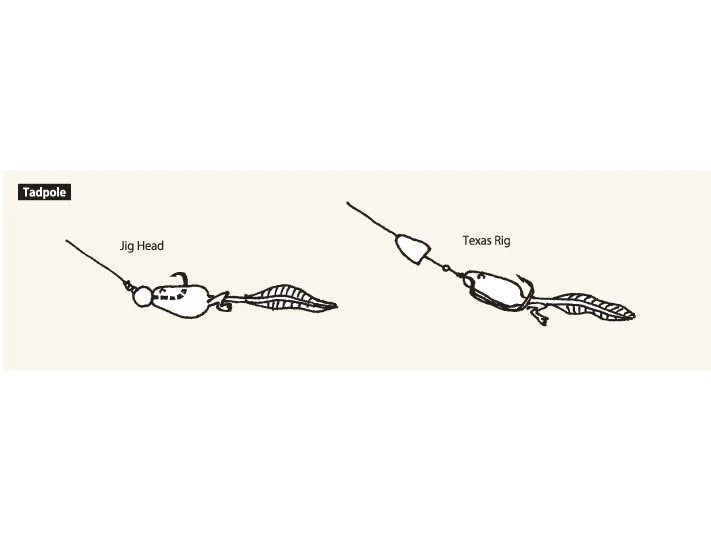 Nikko Zaza Tadpoles 7,3cm (5-pack) 6 Nikko Zaza Tadpoles 7,3cm (5-pack) – Image 4