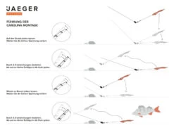 Jaeger Carolina Rig 11 Jaeger Carolina Rig -Pêche Équipement Magasin PRC CAR 1 5