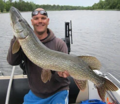 Rad Dog Spinnerbait - Ruff Tackle 5 Rad Dog Spinnerbait - Ruff Tackle -Pêche Équipement Magasin RADDOGr 2