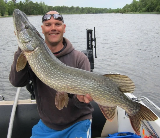 Rad Dog Spinnerbait - Ruff Tackle 4 Rad Dog Spinnerbait - Ruff Tackle – Image 2