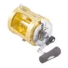 Shimano Tiagra A 80lb W Right Hand 1 Shimano Tiagra A 80lb W Right Hand -Pêche Équipement Magasin TI80WA 1